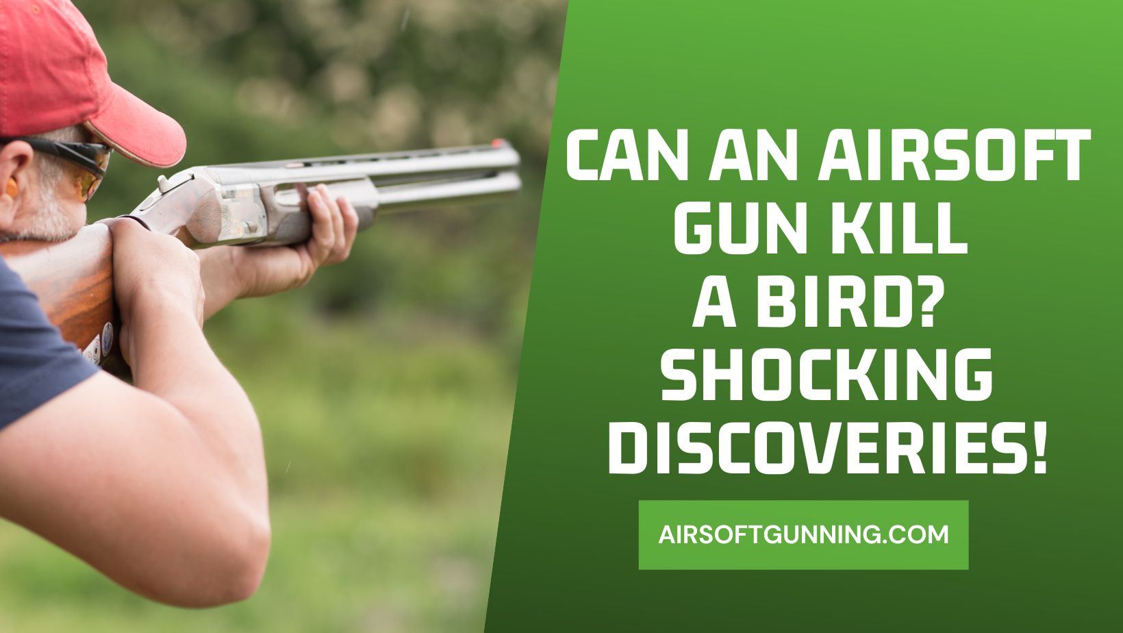 Can an Airsoft Gun Kill a Bird